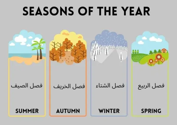 السنة بالانجليزي والعربي في صورة