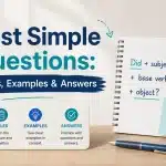 Past simple questions
